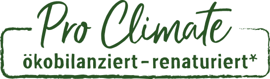 Produktentwicklung