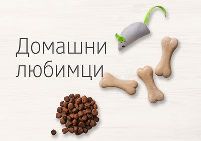 Домашни любимци