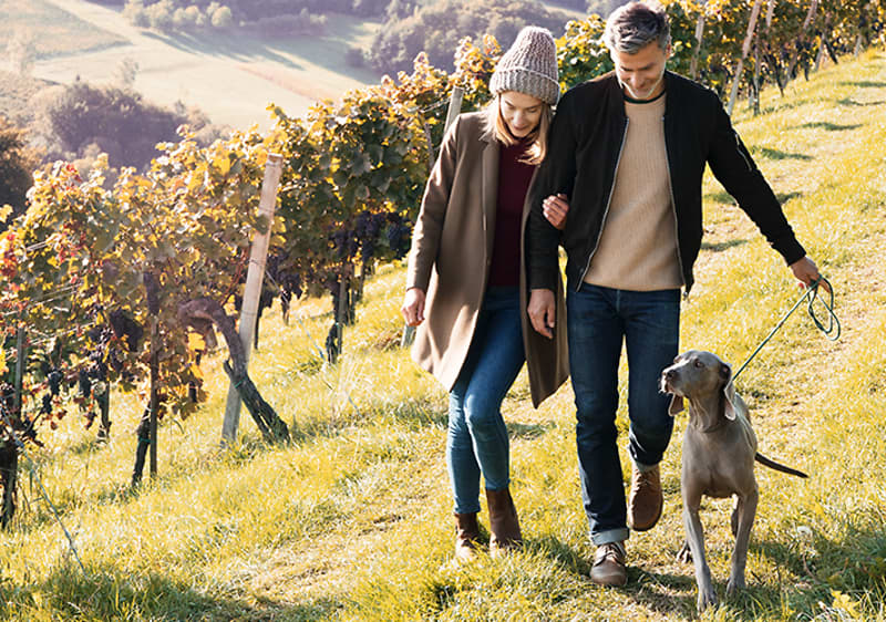 Време за излет!