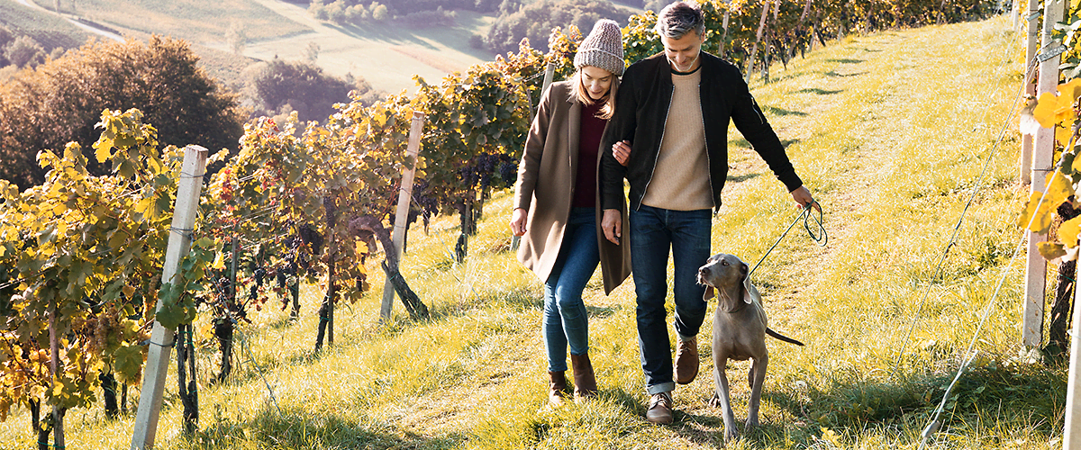 Време за излет!