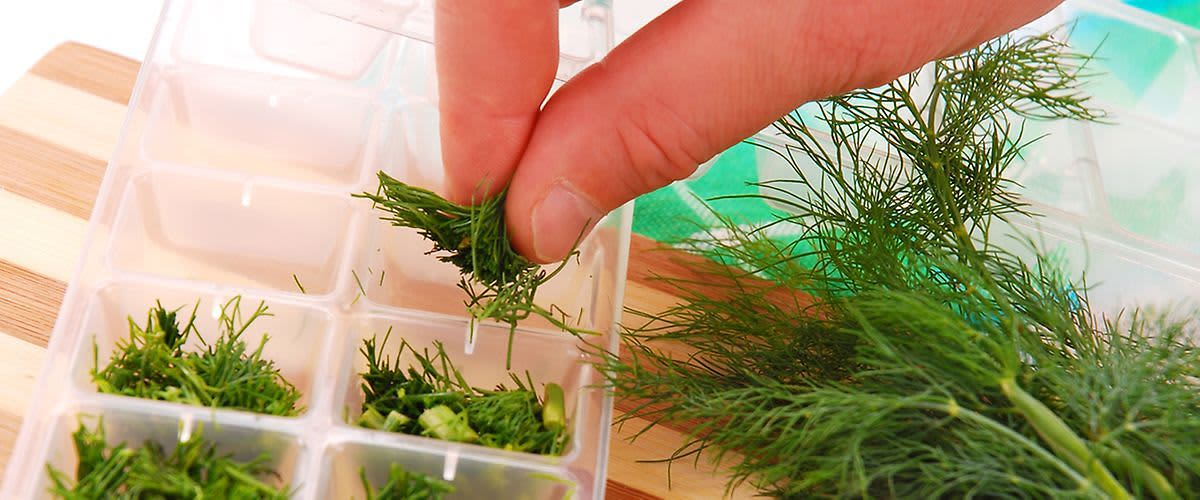 Хранителни продукти - твърде жалко е да ги изхвърляме