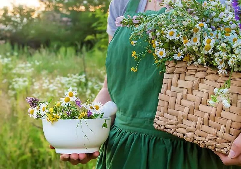 Аз вярвам в силата на природата!