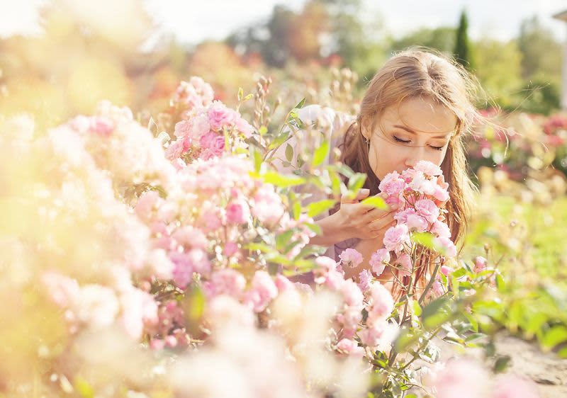 Суха кожа? Дивата роза помага!