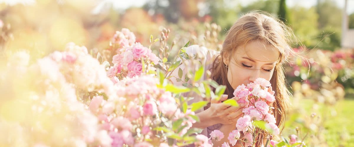 Суха кожа? Дивата роза помага!