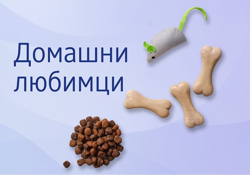 Домашни любимци