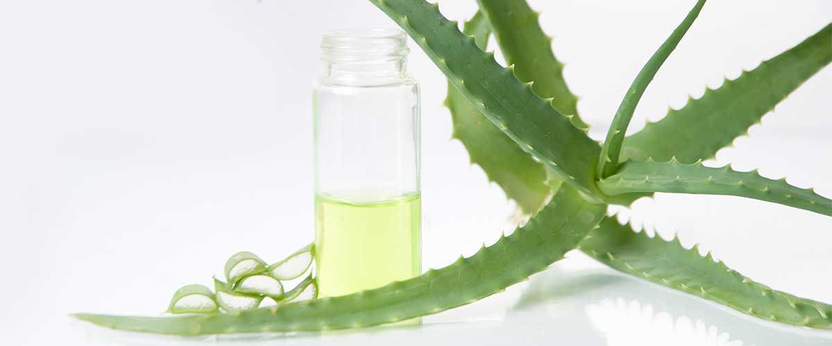 с ценните съставки на алое вера