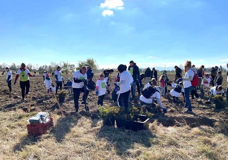 {ЗАЕДНО} за „Новата гора на София“!