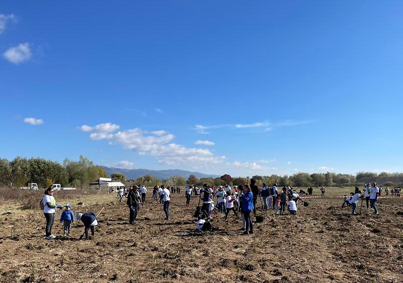 {ЗАЕДНО} за „Новата гора на София“!