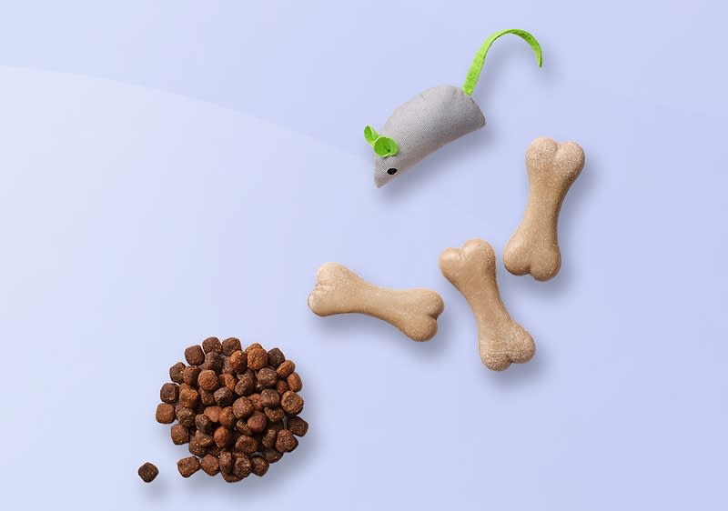 Домашни любимци