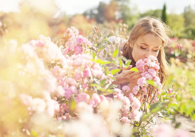 летни аромати