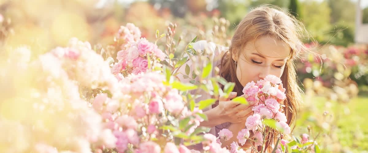 летни аромати