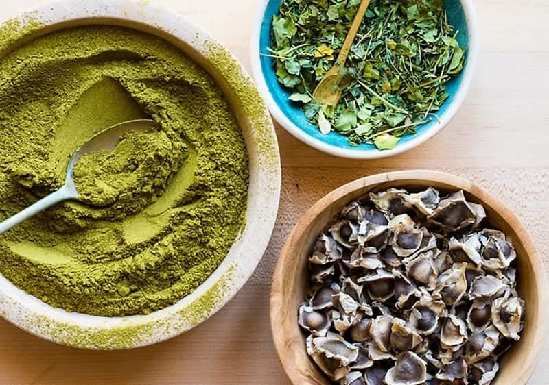moringa