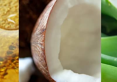 sastavki i veshtestva