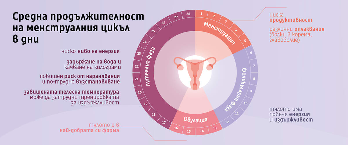 тренировка