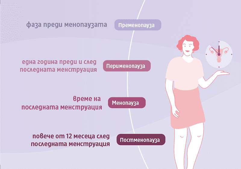 четири фази на менопаузата