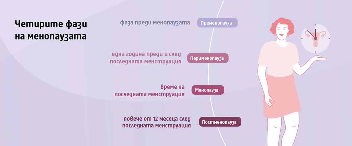 четири фази на менопаузата