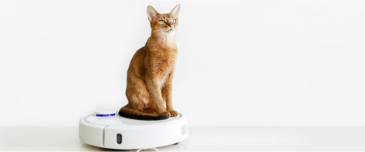 Поддържайте дома си чист без усилие