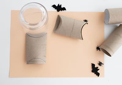 Klopapierrollen und Glas