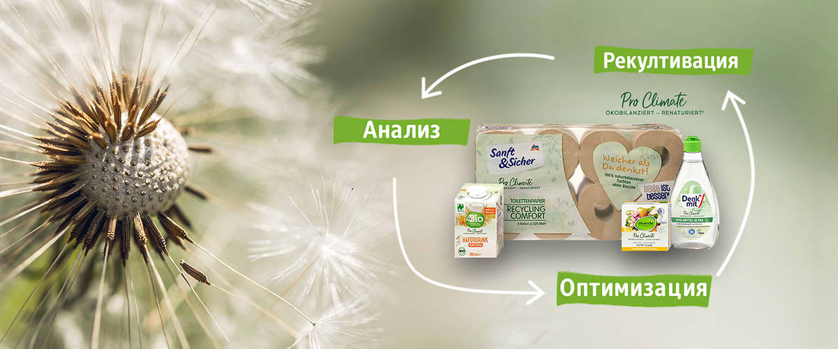Produkte fürs umweltneutral handeln