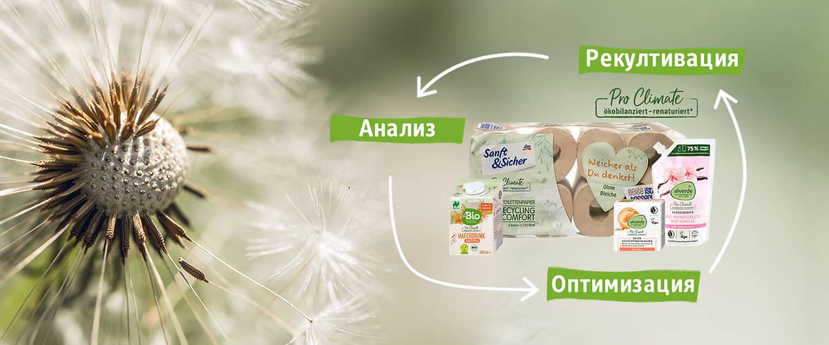Produkte fürs umweltneutral handeln