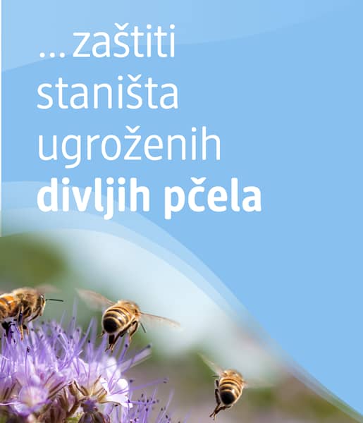 ... zaštititi staništa ugroženih divljih pčela