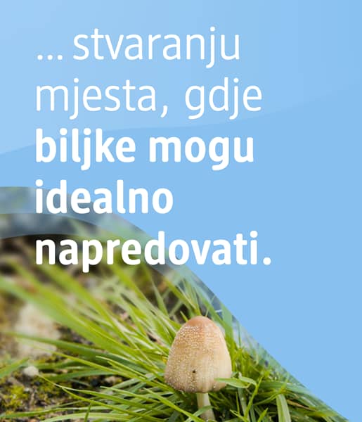 ... stvarajući mjesto gdje biljke mogu idealno napredovati.