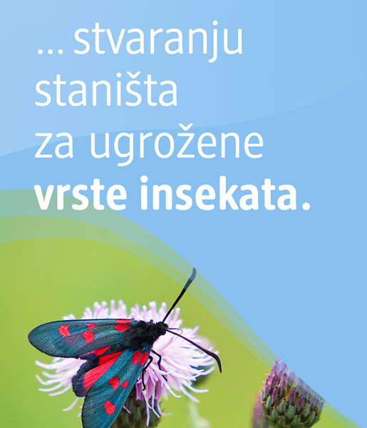 ... stvaranju staništa za ugrožene vrste insekata. 
