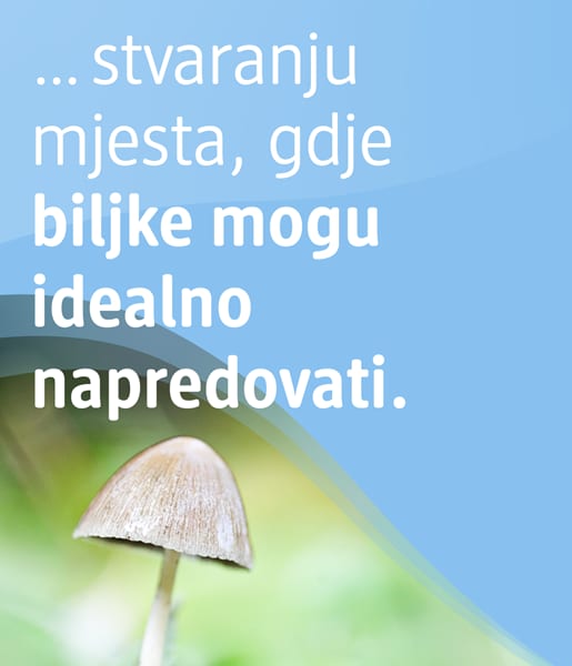 ... stvaranju mjesta, gdje biljke mogu idealno napredovati. 