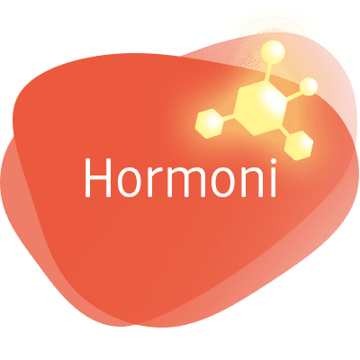 Natpis hormoni na crvenoj pozadini
