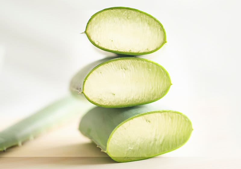 Aloe vera