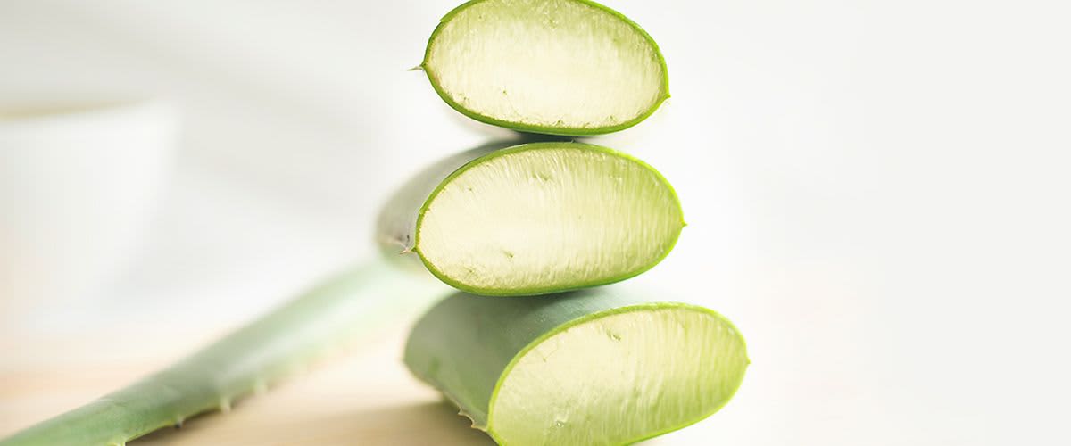 Aloe vera
