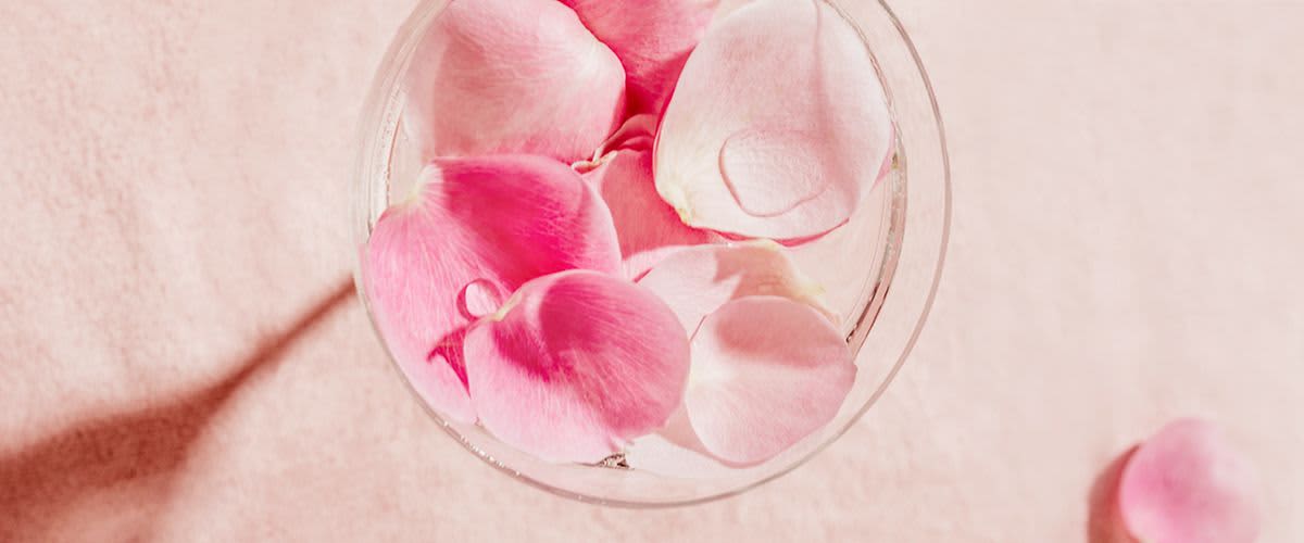 Sve o prednostima ružine vodice na kožu