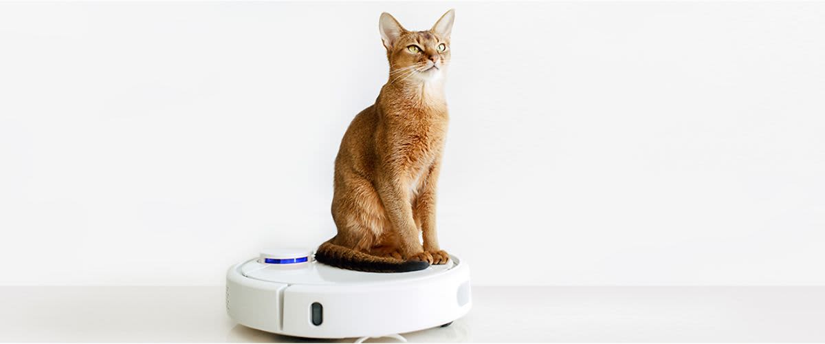 Čist dom uprkos životinjskoj dlaci