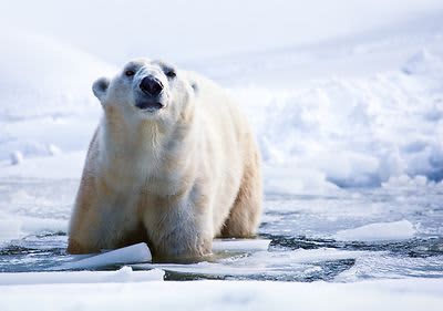 5 kompenzacijskih utjecaja na okoliš Prp Climate proizvoda