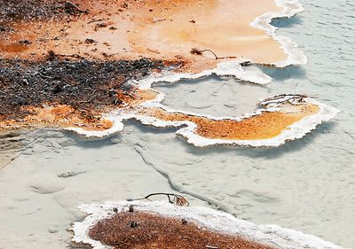 5 kompenzacijskih utjecaja na okoliš Prp Climate proizvoda