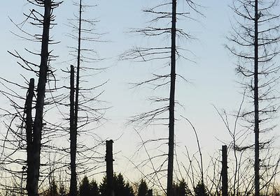 5 kompenzacijskih utjecaja na okoliš Prp Climate proizvoda