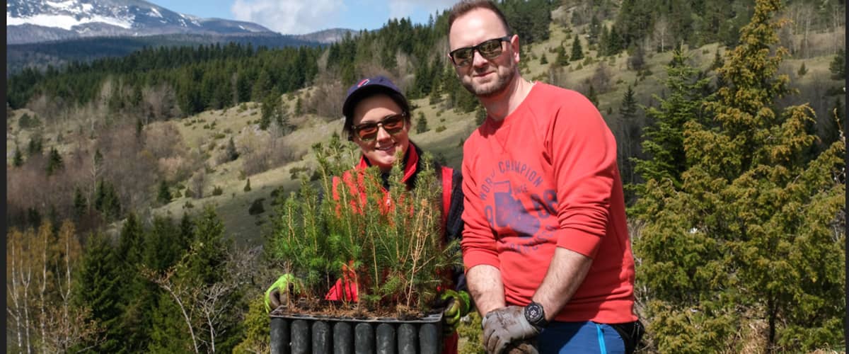 dm radnici volontiraju