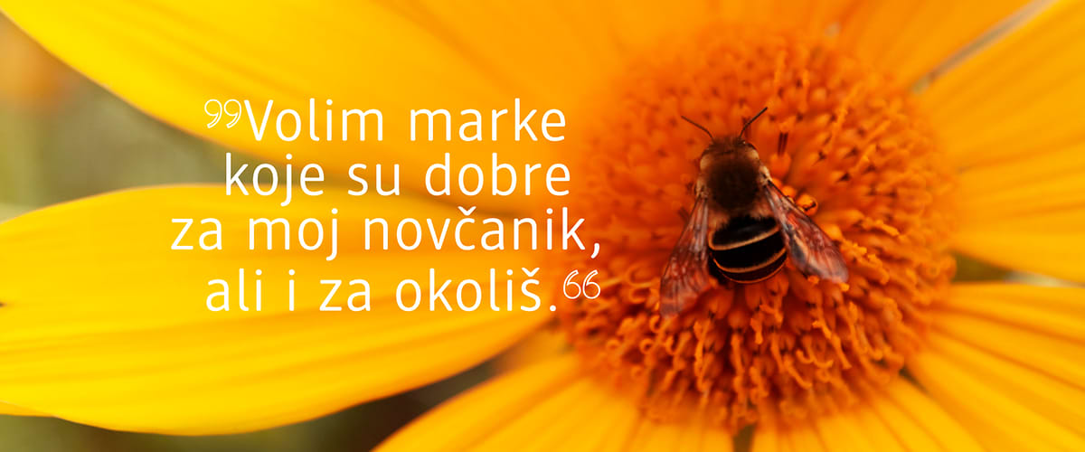 Nachhaltige Marken Header und Teaser