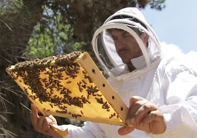 dmBio gurmanski proizvodi iz Grčke