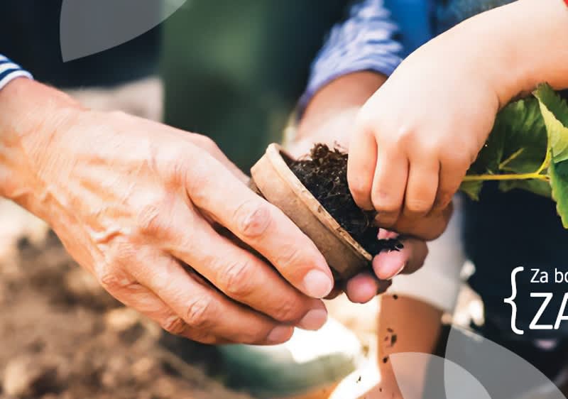 Sadnja biljke uz pomoć odrasle osobe