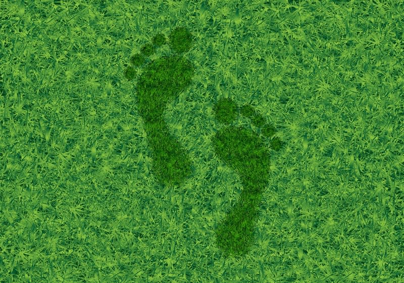 Otisci stopala u travi