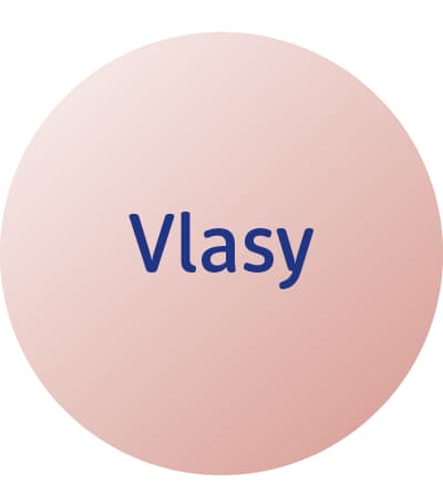 vlasy