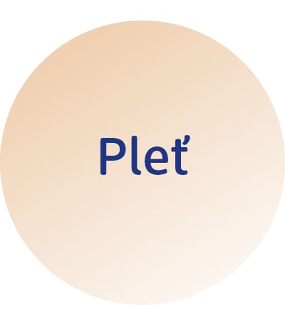 pleť
