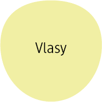 Péče o vlasy