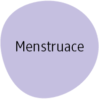 Menstruace