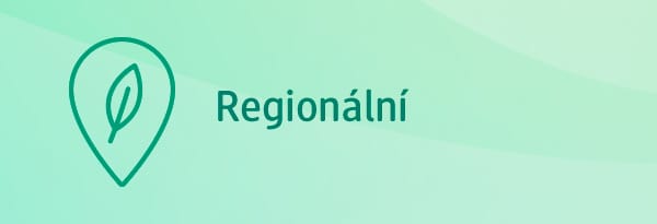 Regionální