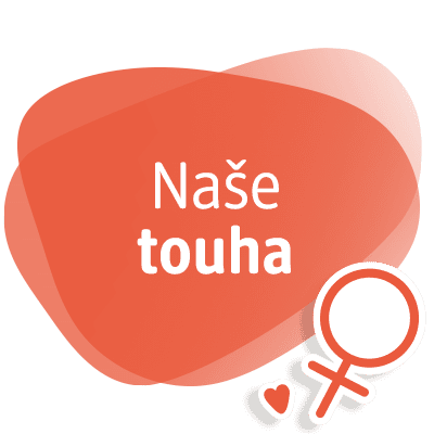 Naše touha