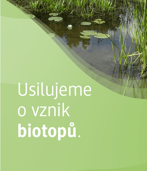 Usilujeme o vznik biotopu.