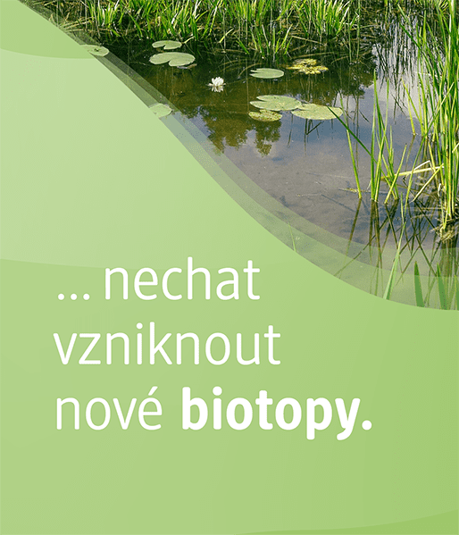 Usilujeme o vznik biotopu.