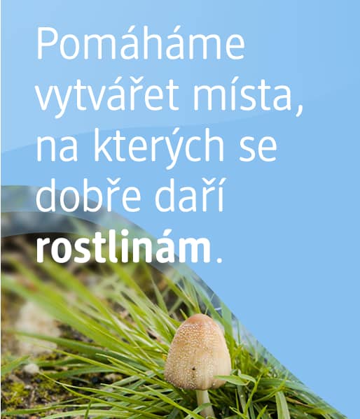 Pomáhame vytvářet místa, na kterých se dobře daří rostlinám.